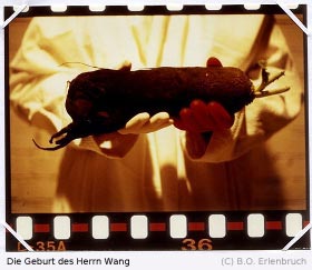 Die Geburt des Herrn Wang